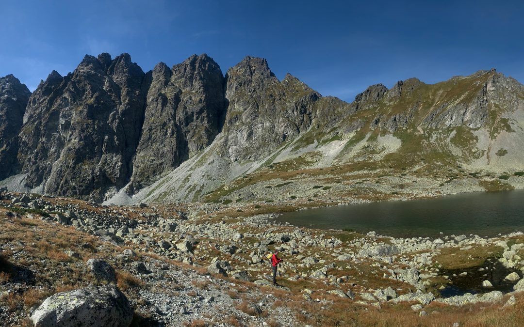 The first environmental DNA sampling in the Tatra alpine lakes