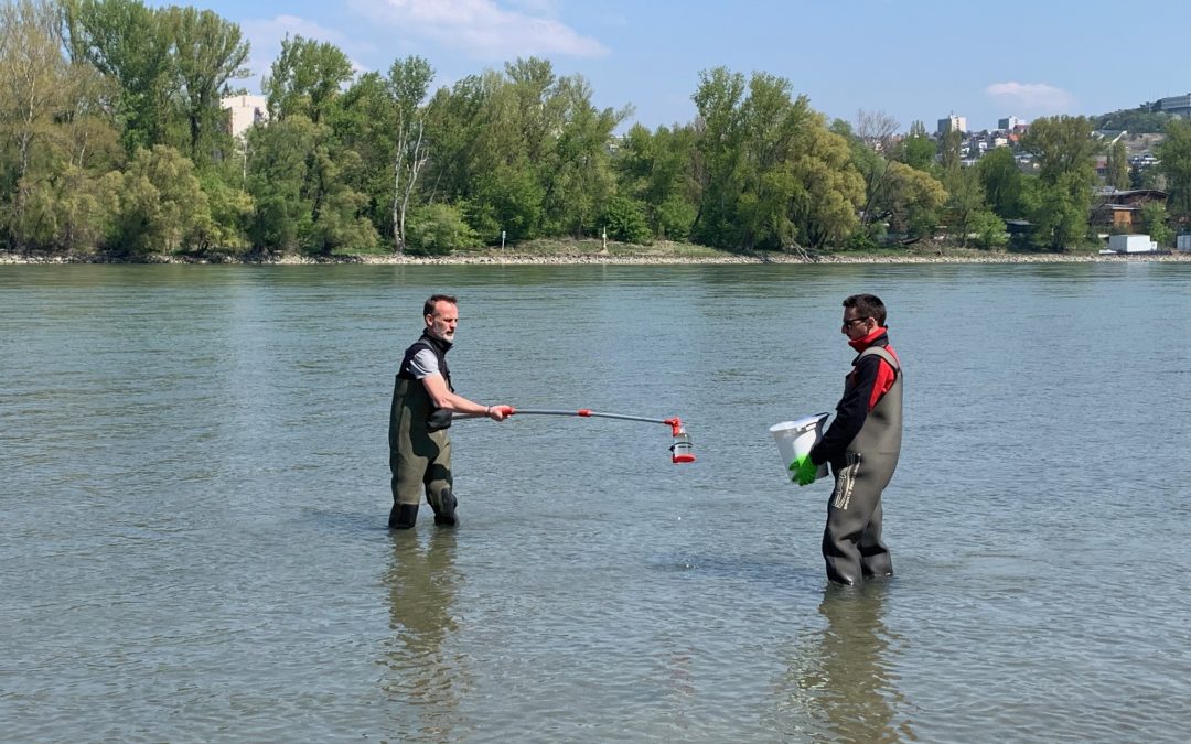 Seeking eDNA in Danube and Morava rivers